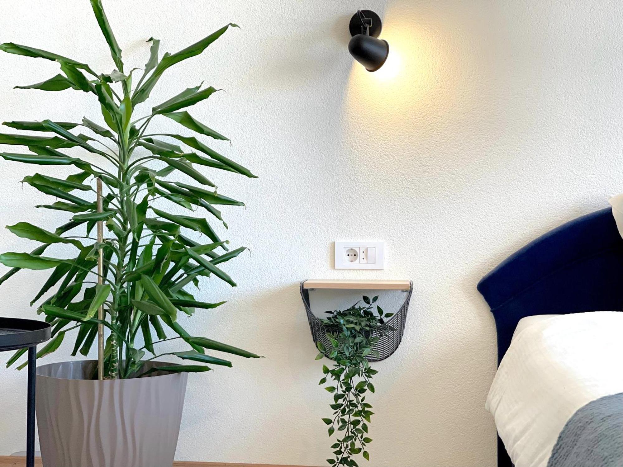 Makedonka Apartments Ohri Dış mekan fotoğraf